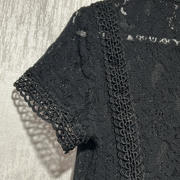 Zara Basics Lace & Pleated Dress - Picture 7 of 14